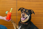 Barking Brunch (Mini) Bloody Mary XS