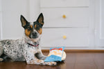 Snack Attack (Mini) Chips XS