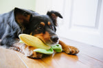 Corn Plush Dog Toy