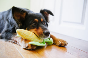 Corn Plush Dog Toy