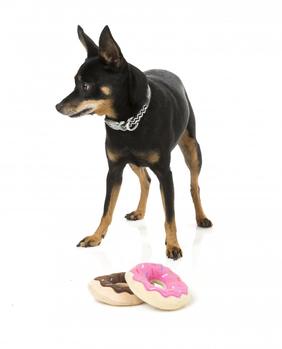 Donuts Dog Toy