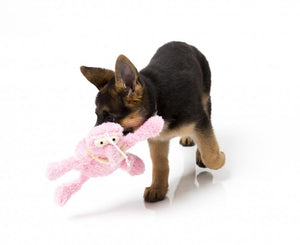 Scratchette The Pink Flea Plush Dog Toy - SPECIAL OFFER !
