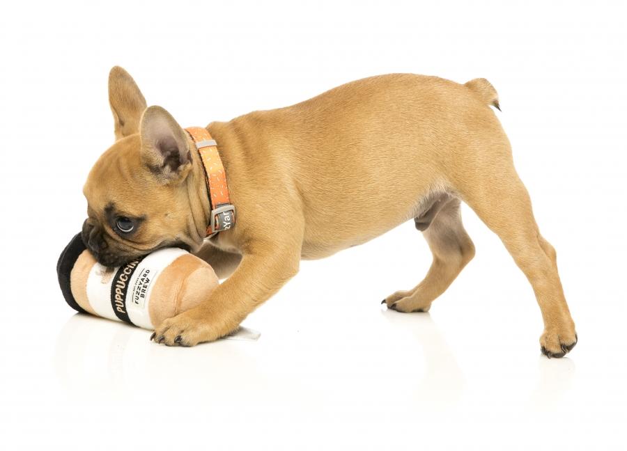 Puppuccino  Dog Toy