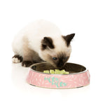 Featherstorm Cat Feeding Bowl