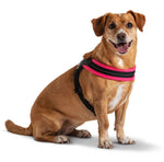Easy Fit Mesh Fluo Pink Harness with Adjustable Girth
