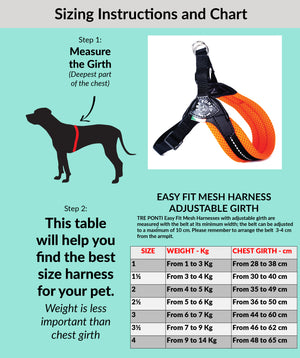 Easy Fit Sky Blue Mesh Harness with Adjustable Girth