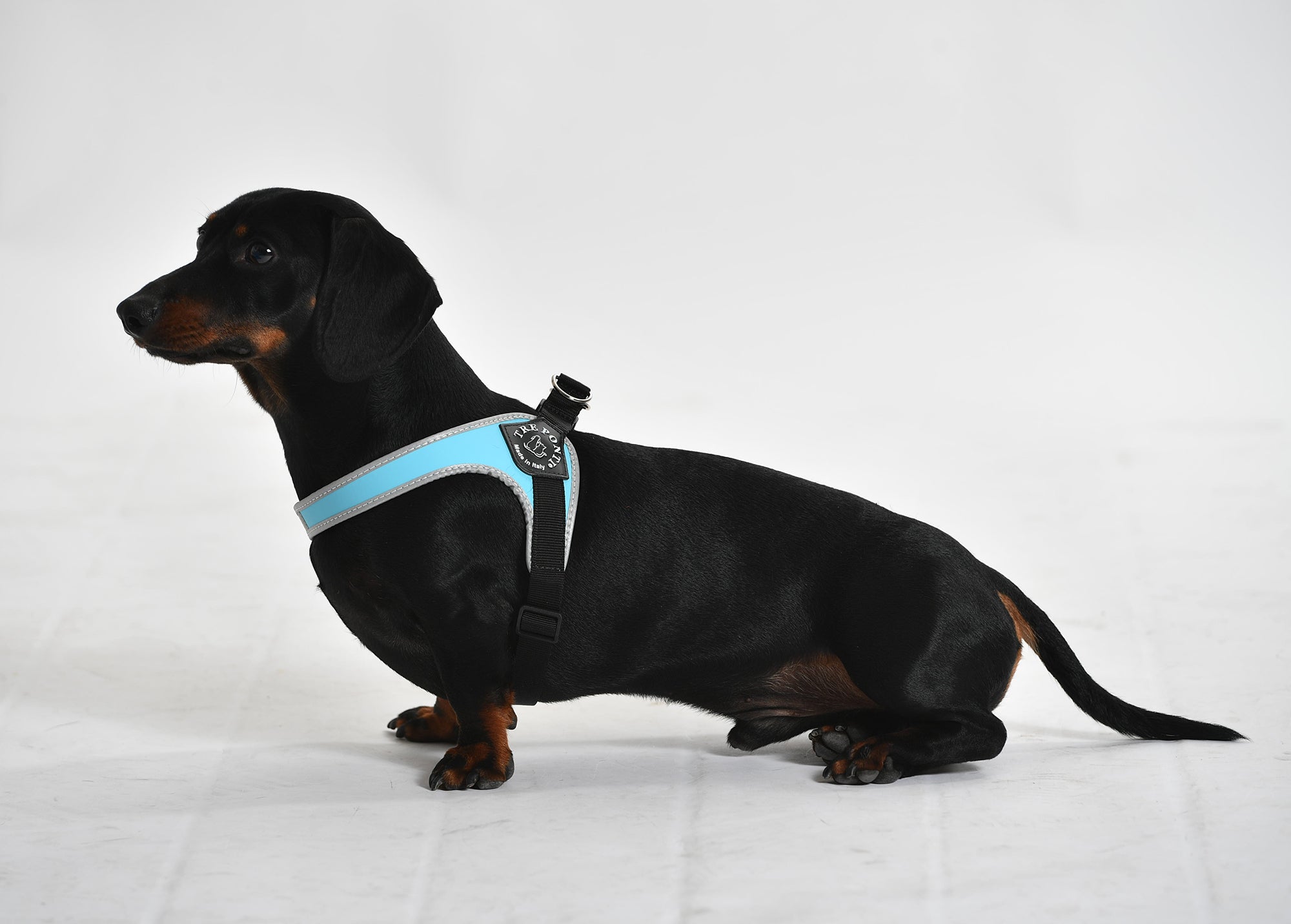 Easy Fit Light Blue Harness with Adjustable Girth
