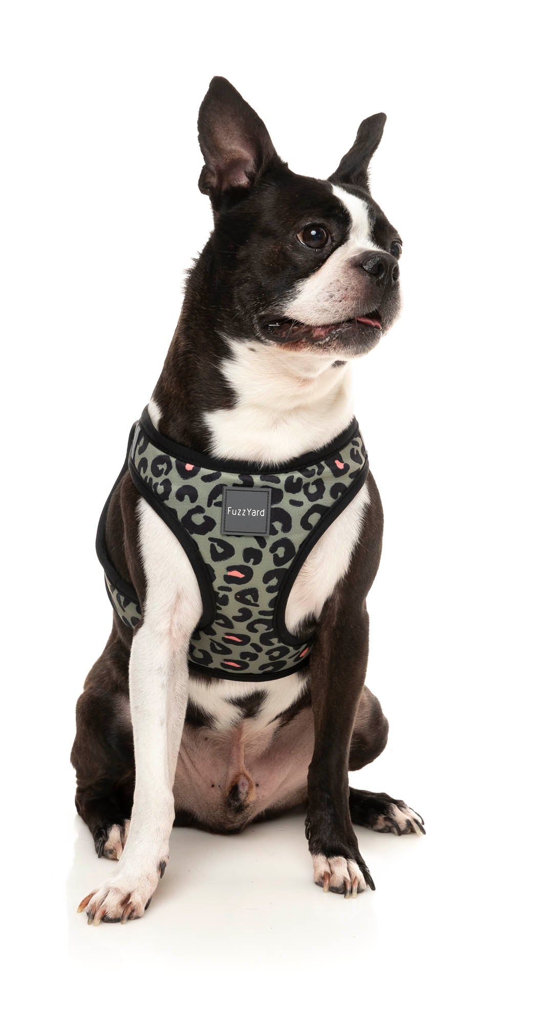 Savanna Step In Harness