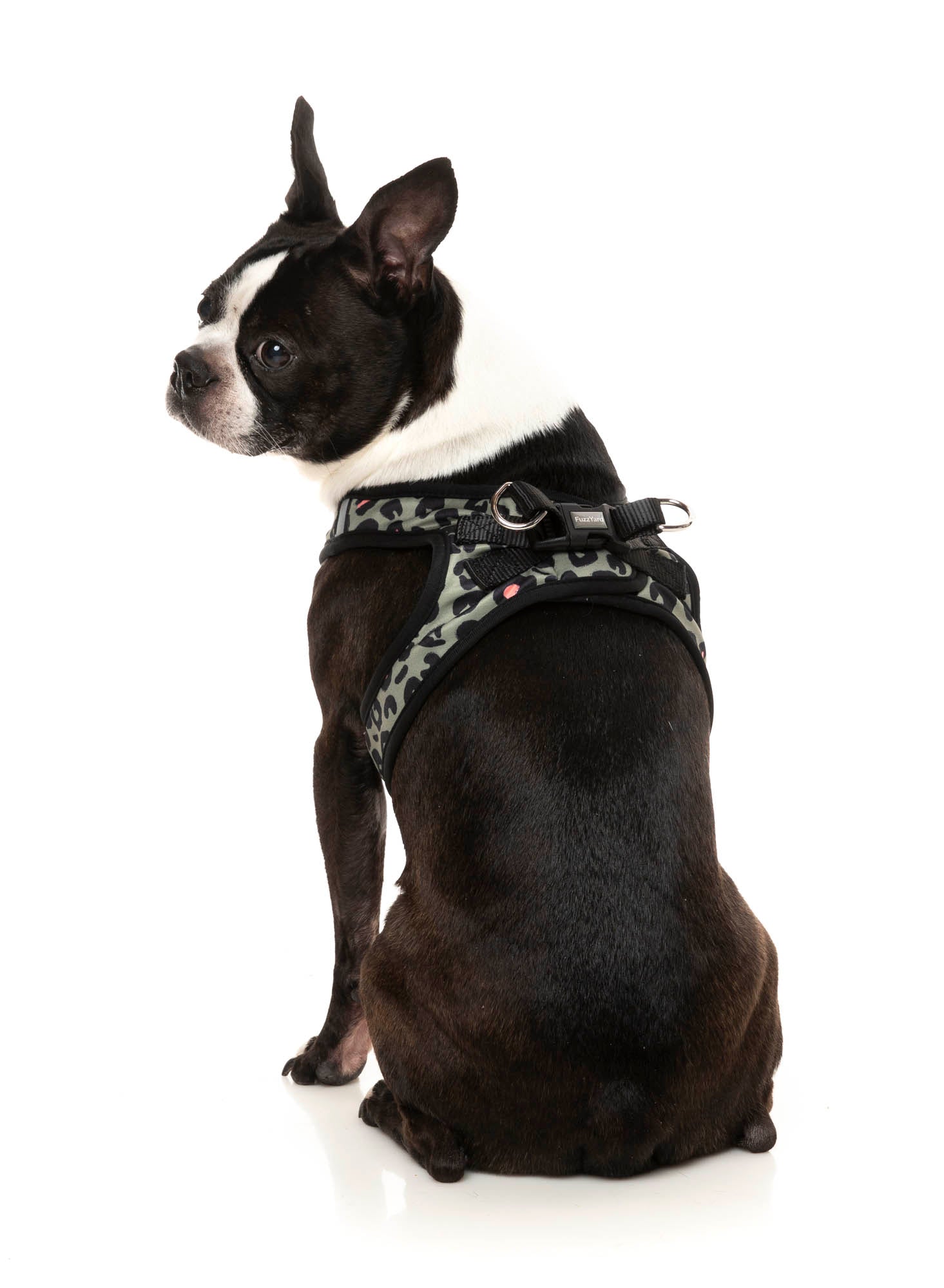 Savanna Step In Harness