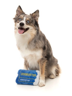 Dogbuster Card Retro Dog Toy