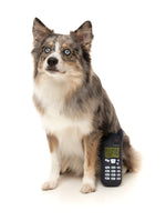 Nokidog Retro Dog Toy