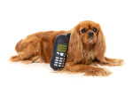 Nokidog Retro Dog Toy