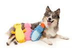 Belly The Bed Bug Dog Toy