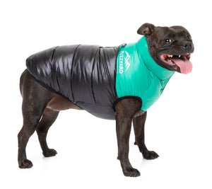 East Harlem Puffer Jacket - Green - SPECIAL OFFER!