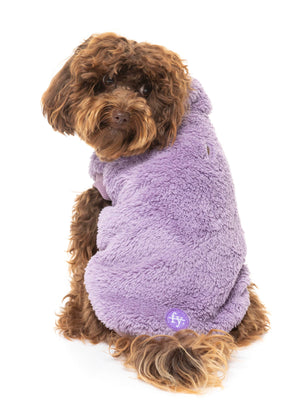 Turtle Teddy Sweater - Purple - SPECIAL OFFER!