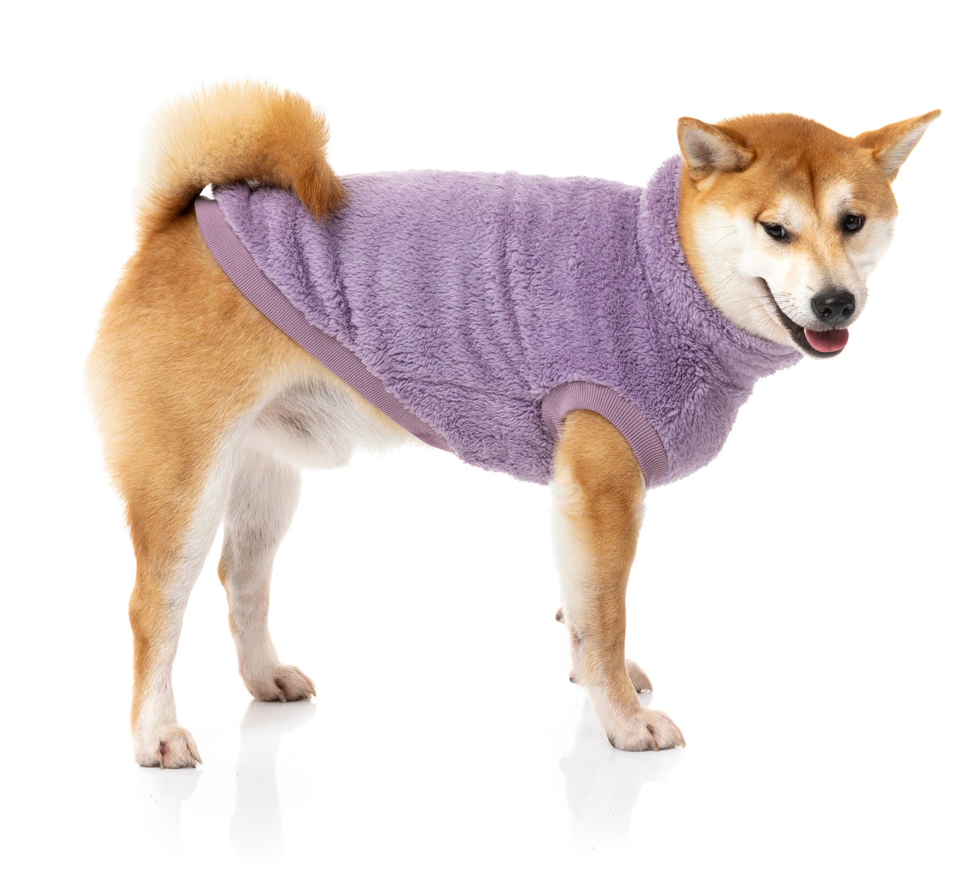 Turtle Teddy Sweater - Purple - SPECIAL OFFER!
