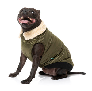 The Zoomie Jacket - Olive - SPECIAL OFFER!