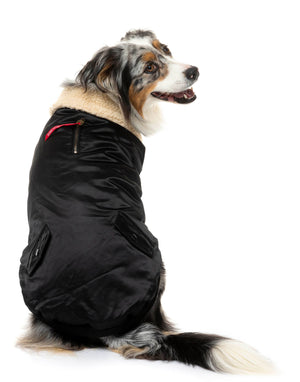 The Zoomie Jacket - Black - SPECIAL OFFER!