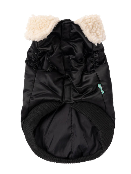 Zoomie jacket online