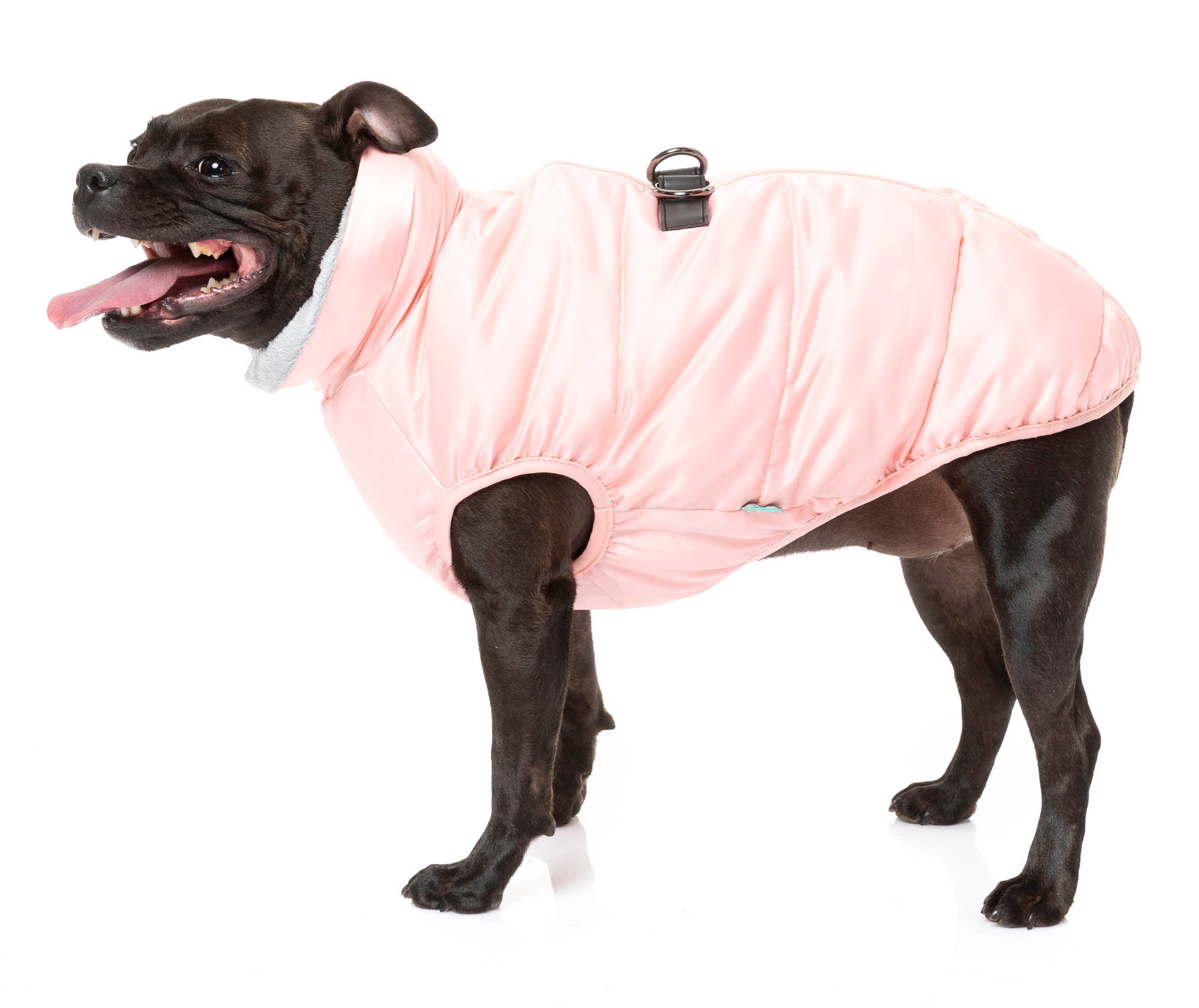 The Eastcoast Harness Jacket - Pink - SPECIAL OFFER!