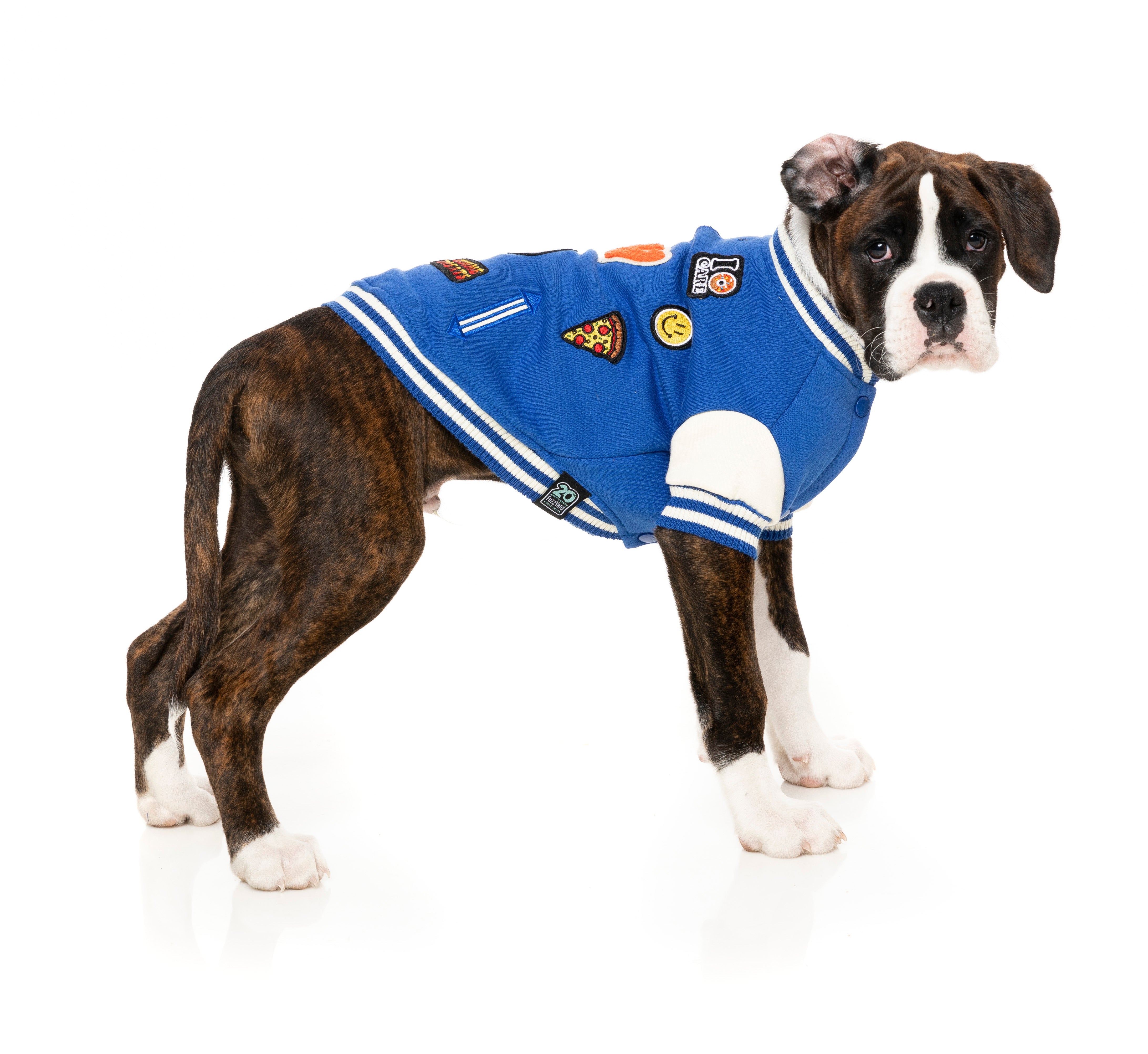 The Letterman Jacket - Blue