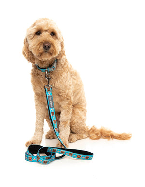 Fuzz Bear Dog Collar