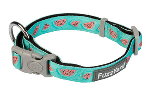 Summer Punch Dog Collar