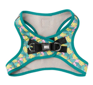 Bananarama Step In Harness