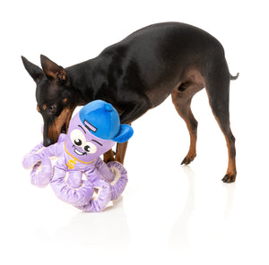 Octo-Posse Dog Toy - Hip-Hoptopus