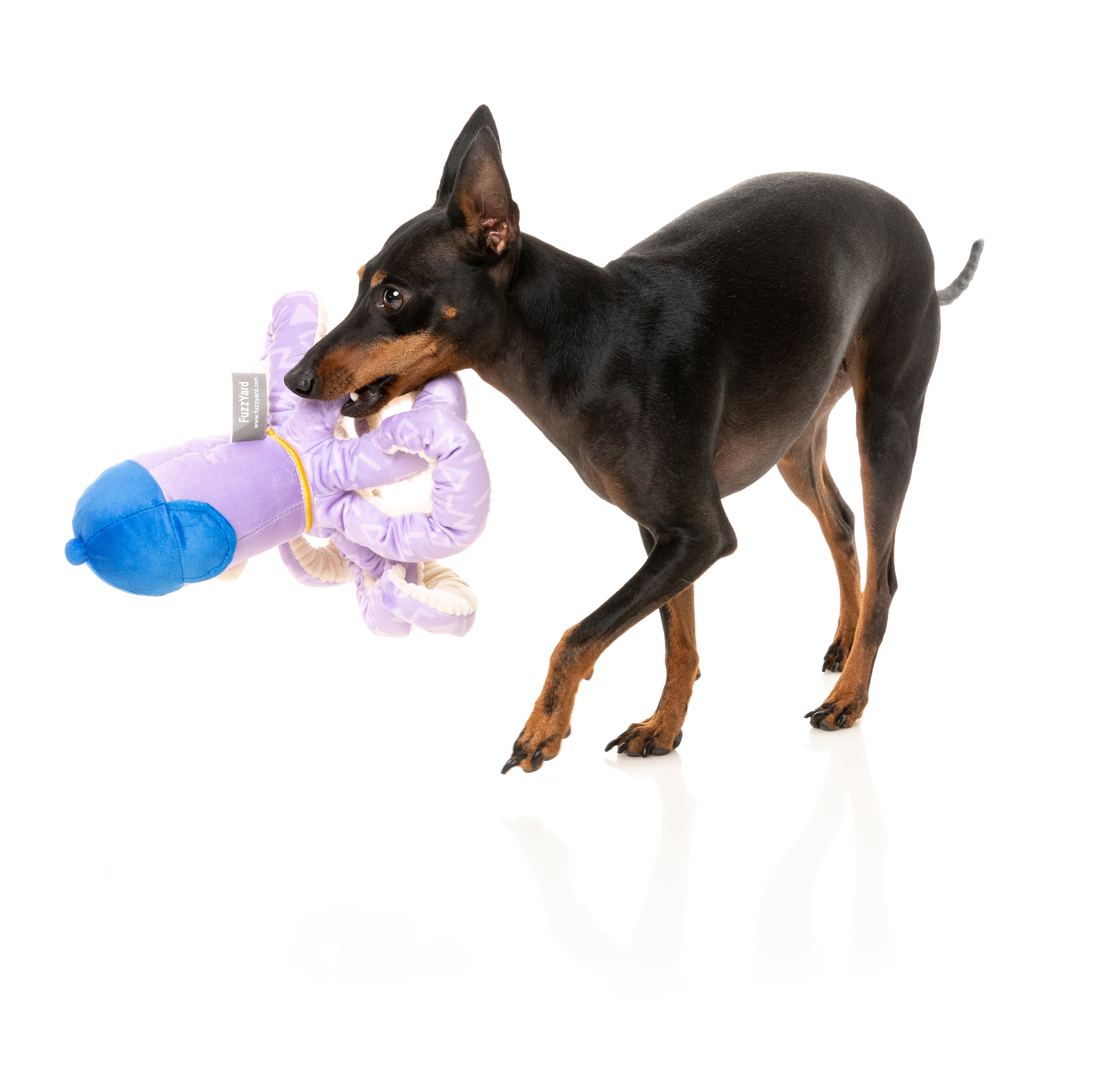 Octo-Posse Dog Toy - Hip-Hoptopus