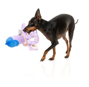 Octo-Posse Dog Toy - Hip-Hoptopus