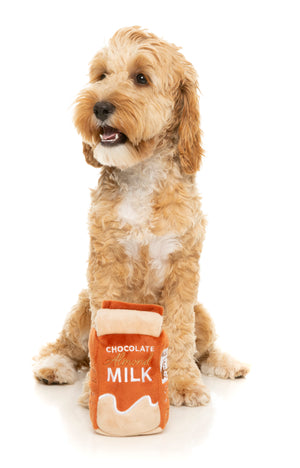 Chocolate milk and dogs outlet