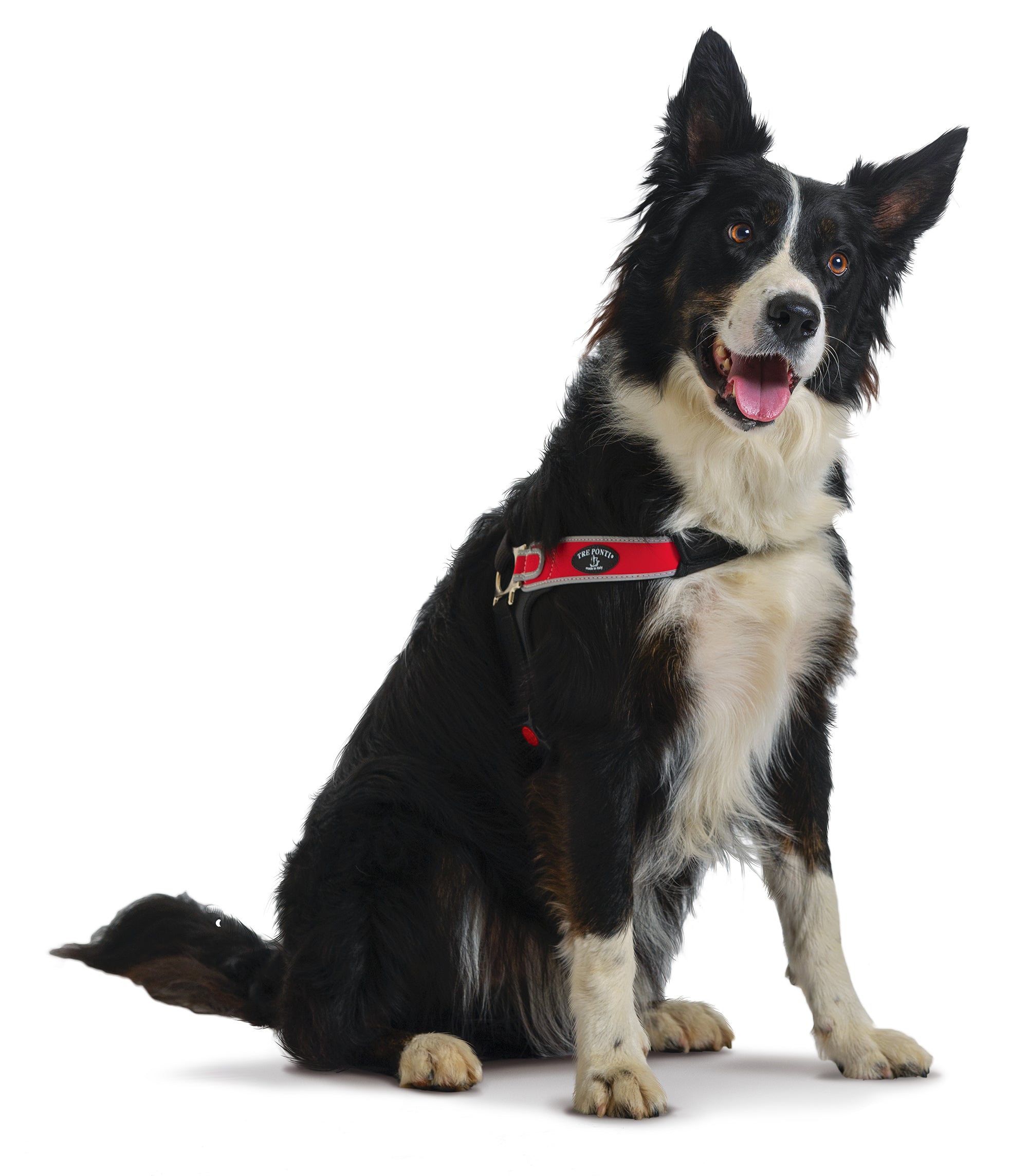 Forza Anti-Pull Red Harness