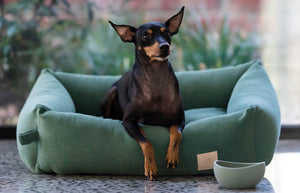 FuzzYard Life Corduroy Bed - Myrtle Green