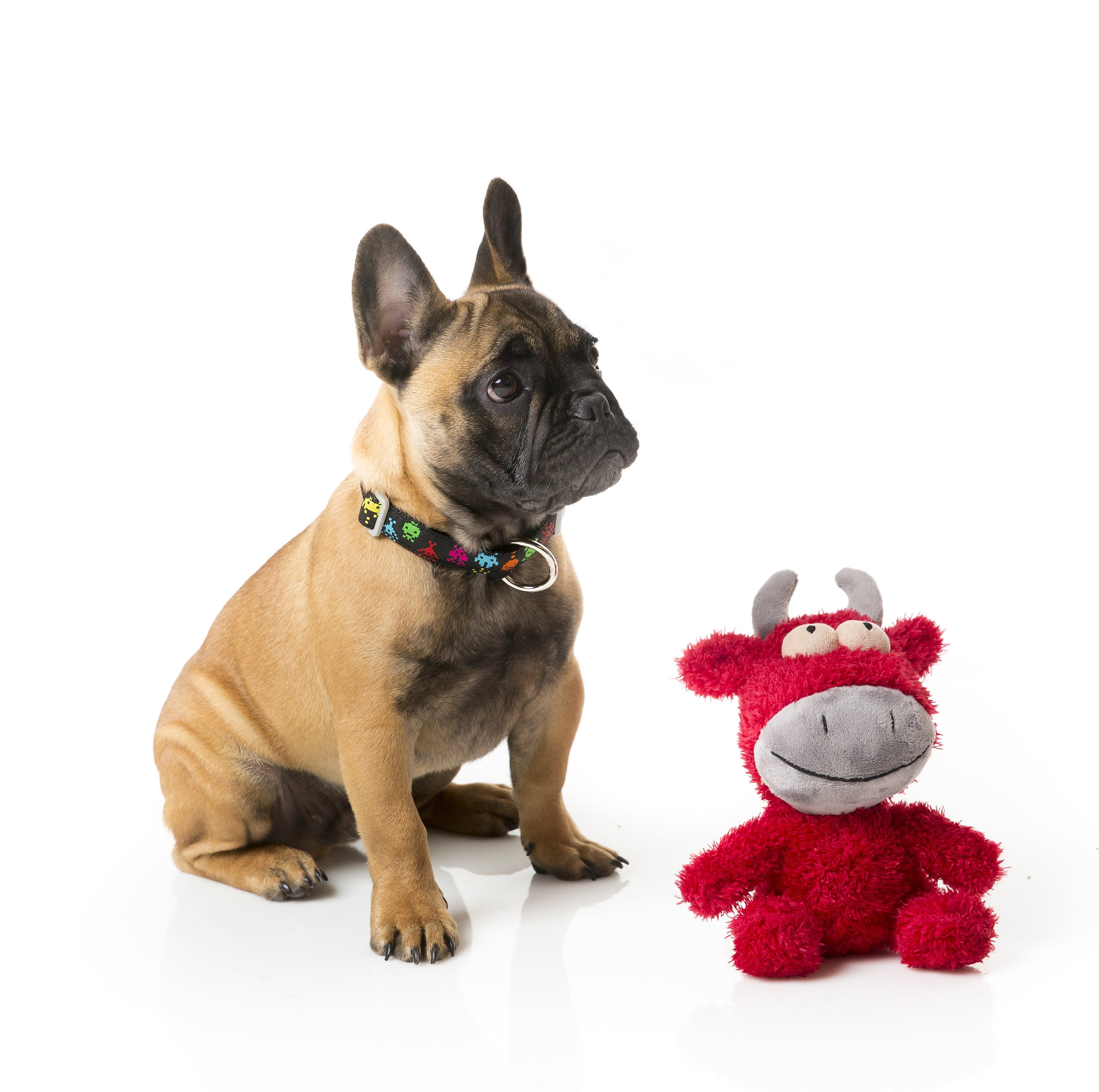 Jordan The Bull Plush Dog Toy