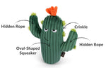 Blooming Buddies Prickly Pup Cactus