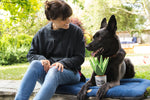 Blooming Buddies Aloe-ve You Plant