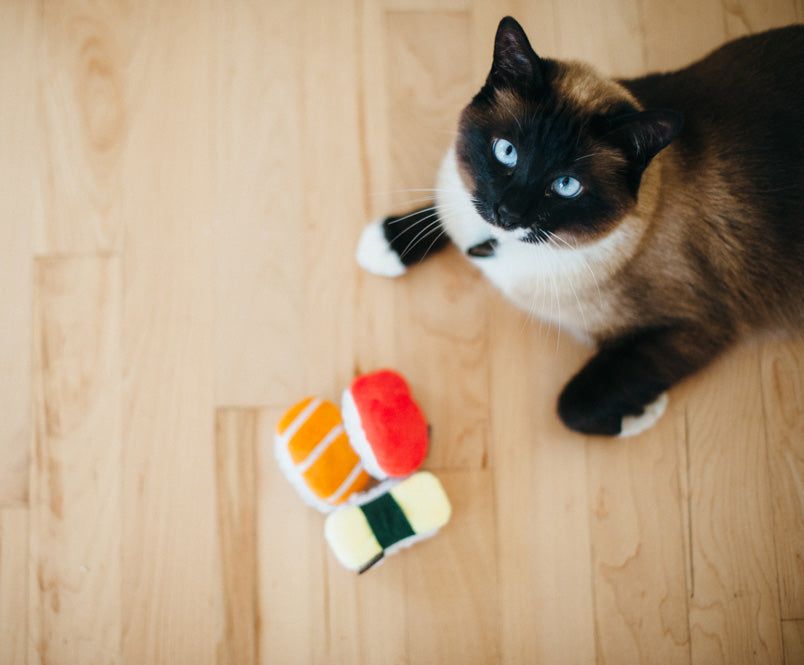 Feline Frenzy Sushi Cat Toy Set of 3