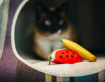 Feline Frenzy Tropical Fruits Cat Toy Set of 2