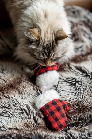 Feline Frenzy Kitten Mittens