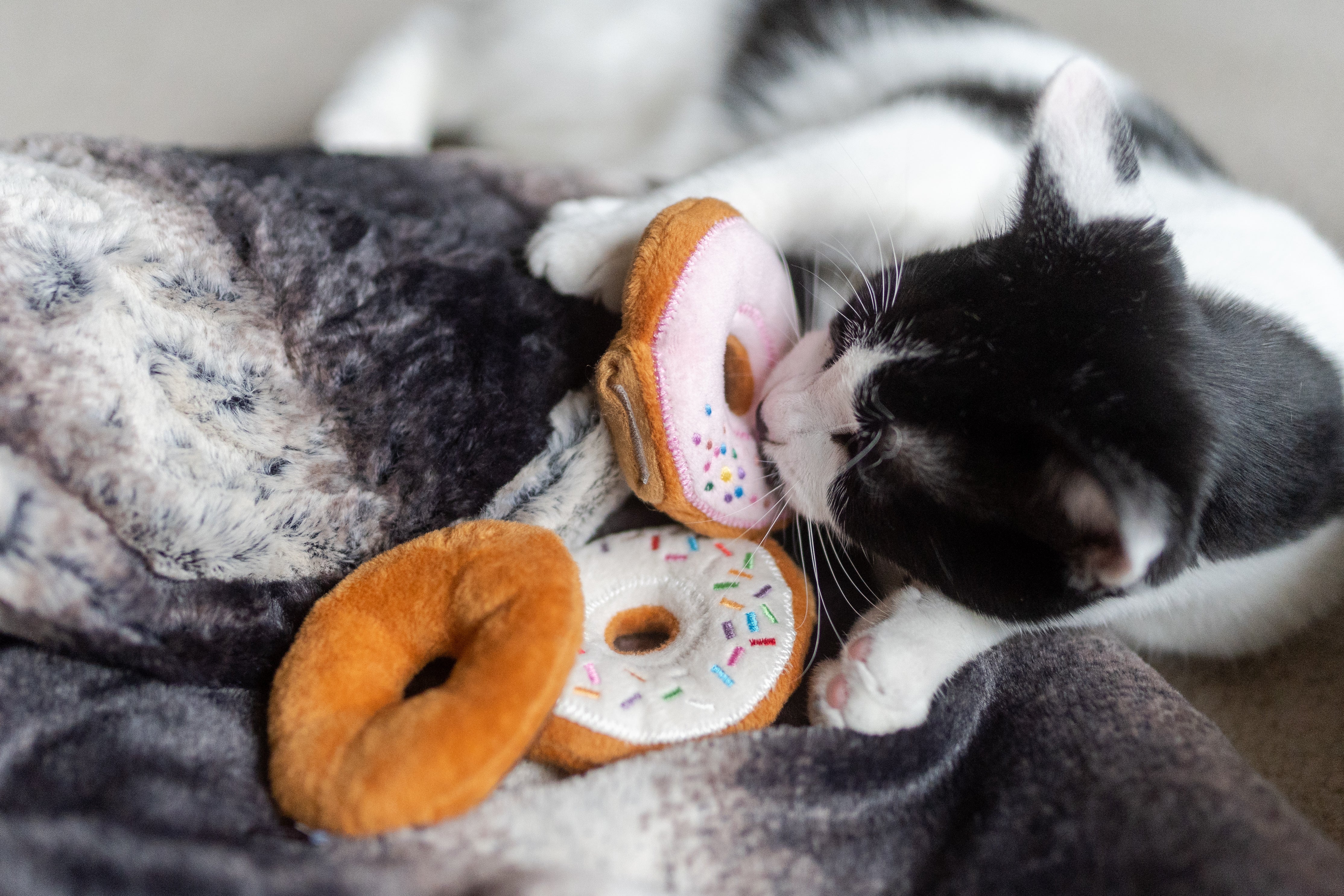 Feline Frenzy Kitty Kreme Donuts