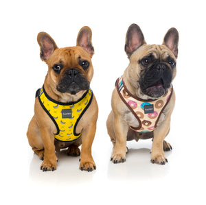 Go Nuts Step In Harness -FINAL SALE NO RETURNS OR EXCHANGES