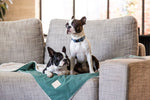 FuzzYard Life Comforter Blanket - Myrtle Green