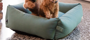 FuzzYard Life Cotton Bed - Myrtle Green