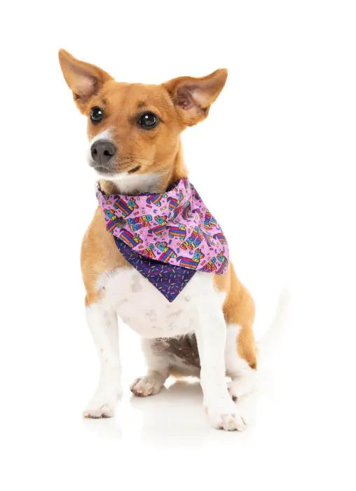 Fiesta Bandana