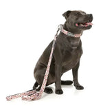 Daily Grind Dog Lead