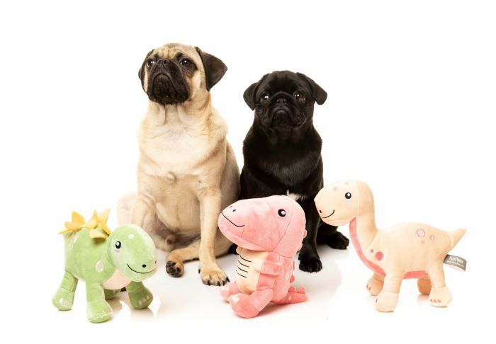 Tyrion The Tyrannosaurus Rex Dog Toy