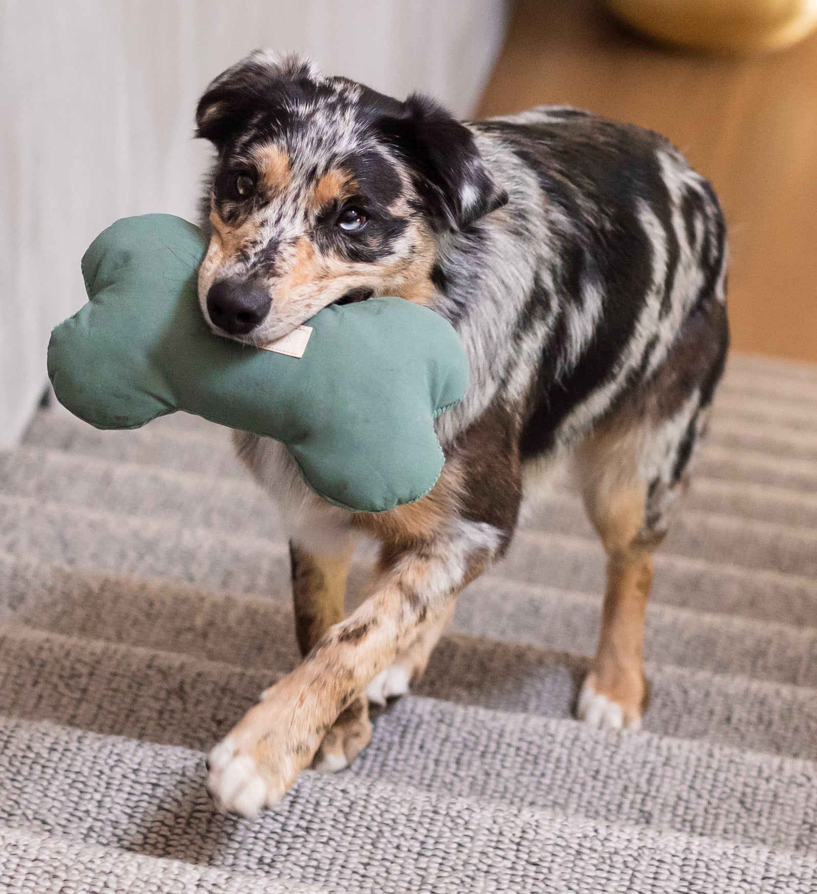 FuzzYard Life Toy Bone - Myrtle Green