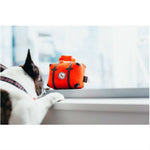 Pack and Snack Suitcase Dog Toy