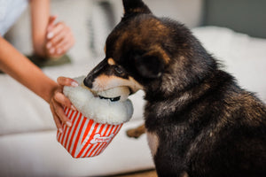 Hollywoof Poppin' Pupcorn Dog Toy